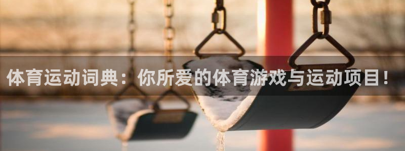 体育运动词典：你所爱的体育游戏与运动项目！