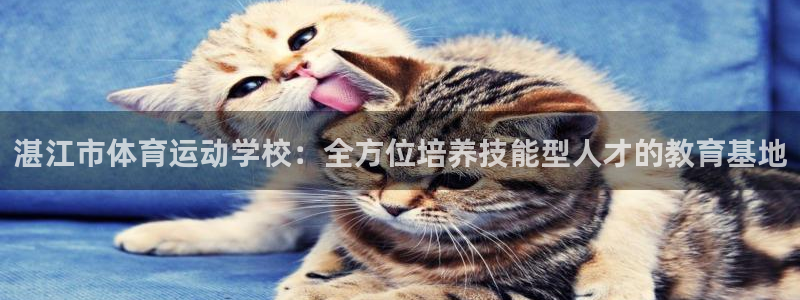 湛江市体育运动学校：全方位培养技能型人才的教育基地